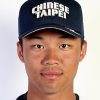 ワンボーロン(王柏融)台湾4割打者が日本球界に電撃移籍か？成績や年俸、移籍先を考察！