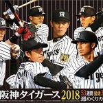 阪神タイガース2018スタメン予想!開幕投手や先発ローテは?